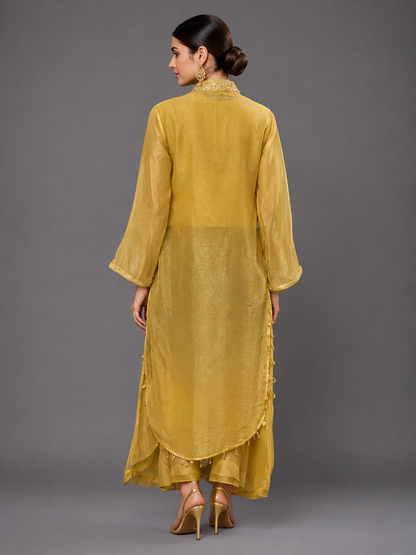 Gold Tissue Silk Hand Embroidered Kurta Set